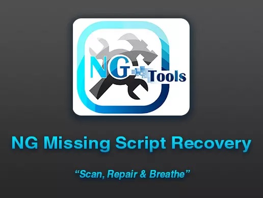 NG Missing Script Recovery